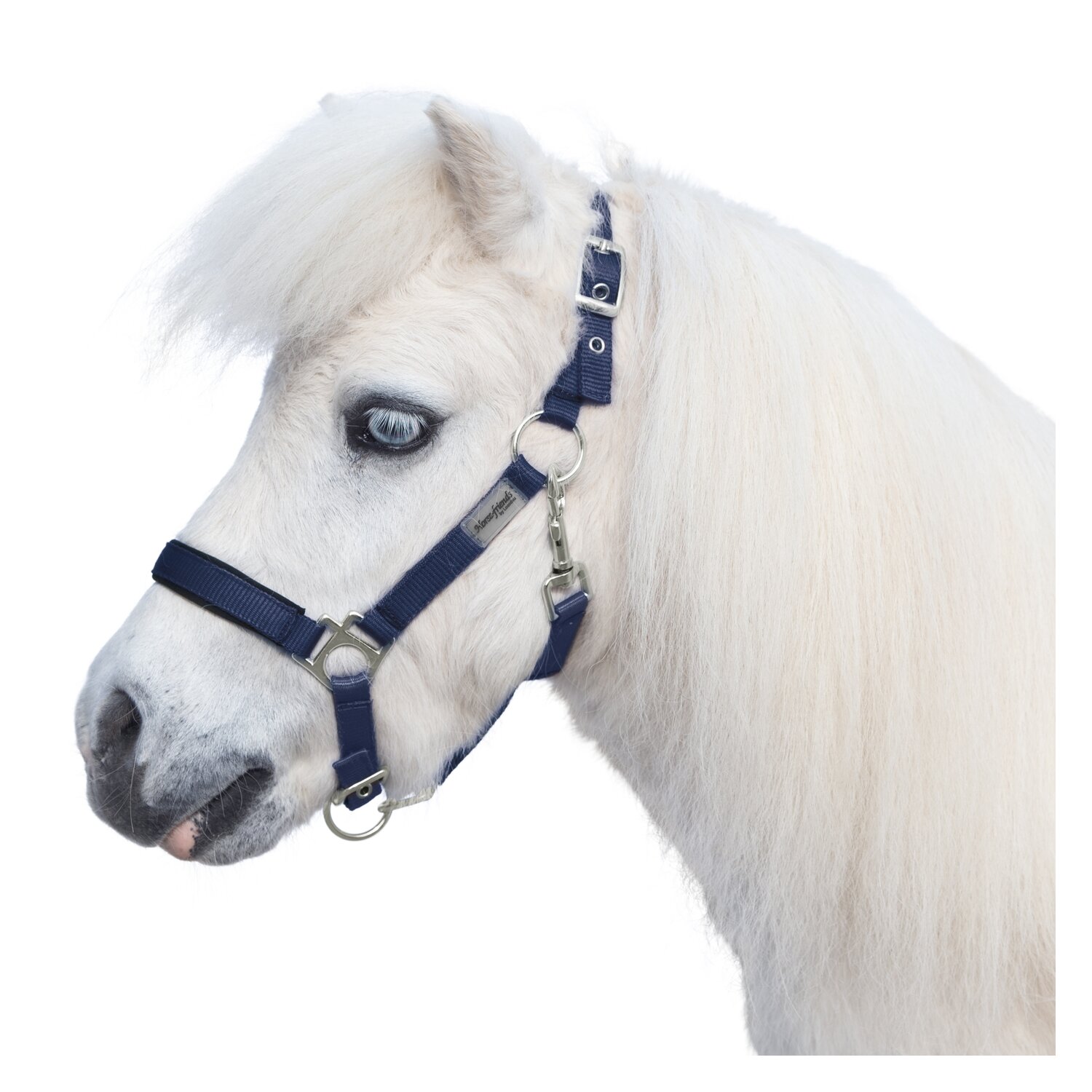 Horse-friends Halfter  - dunkelblau