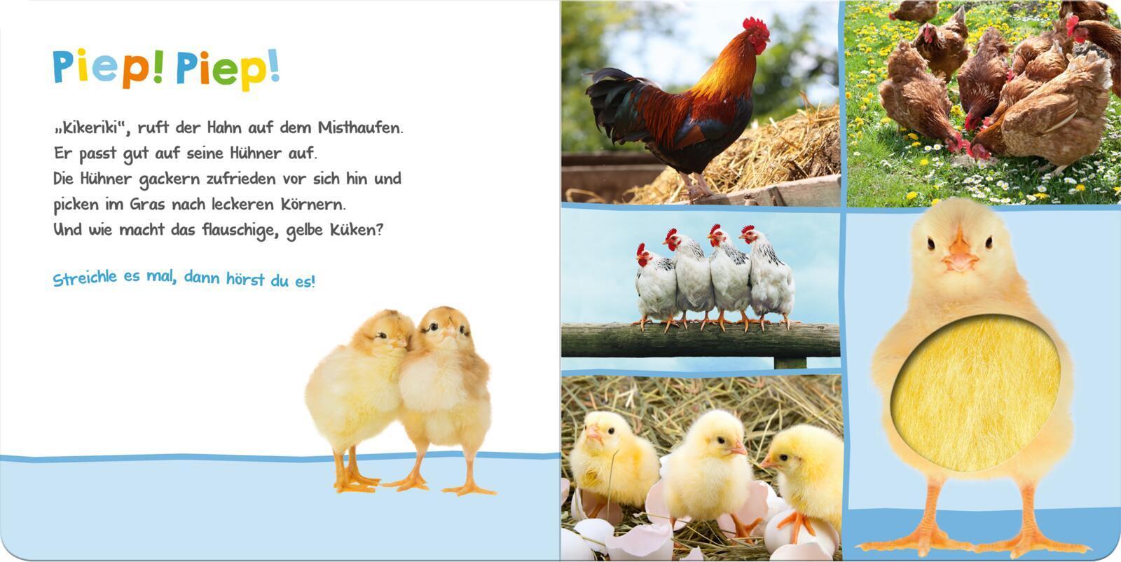 Hör mal rein, wer kann das sein? - Bauernhoftiere