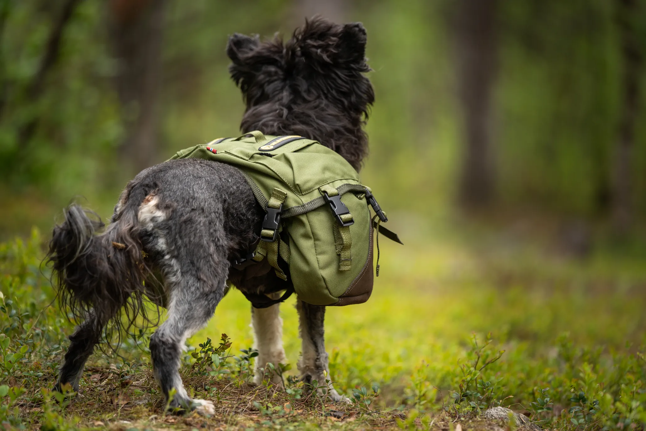 Seleverkstedet Togo hundekløv Grønn/brun Mini+