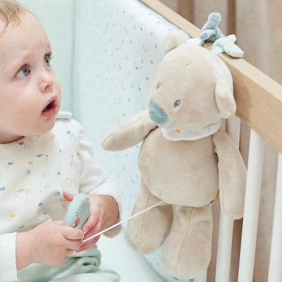 Romeo, Jules et Sally Peluche Musicale   Jules l'ours        30 cm   de               Nattou