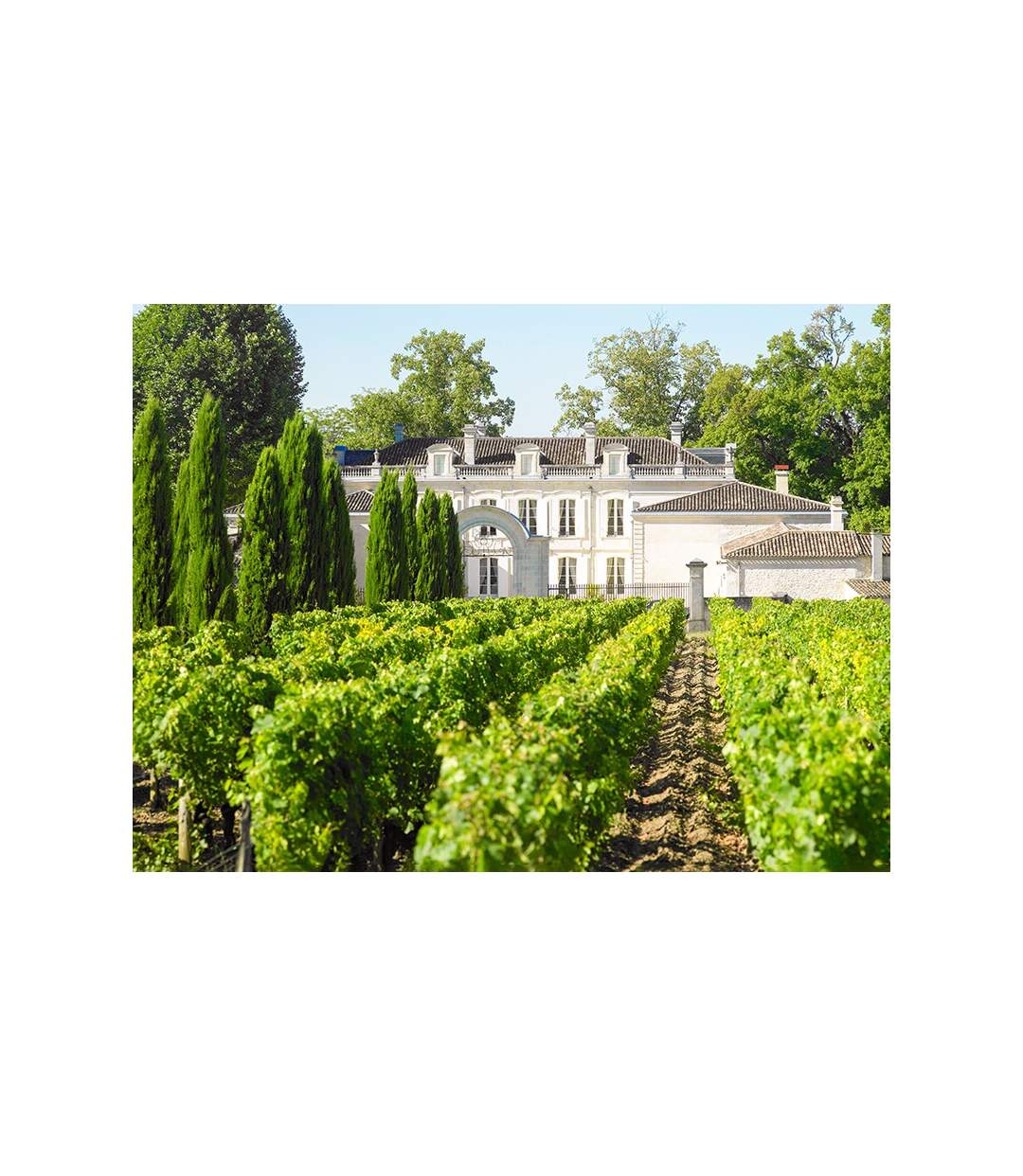 Sur la route des vins - SMARTBOX - Coffret Cadeau Séjour