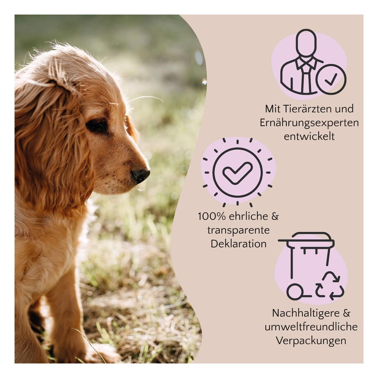 FAVLY Petfood Pferdeleber 1 kg