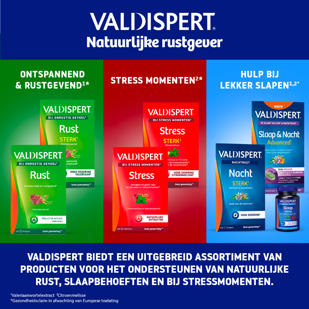 Valdispert Stress moments (20 tabletten)