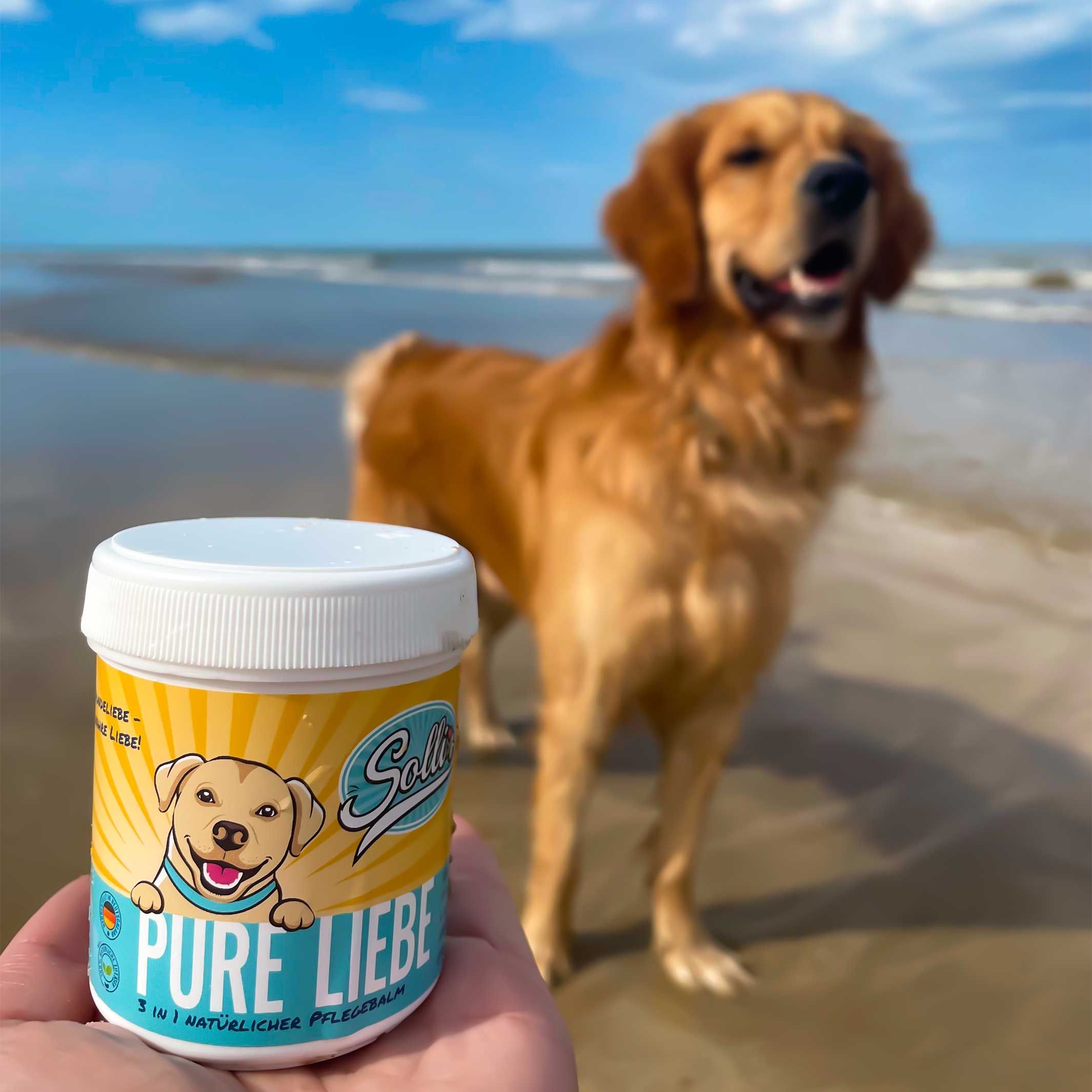 Sollis Pure Liebe – 3-in-1 Natürlicher Pflegebalm für Hunde