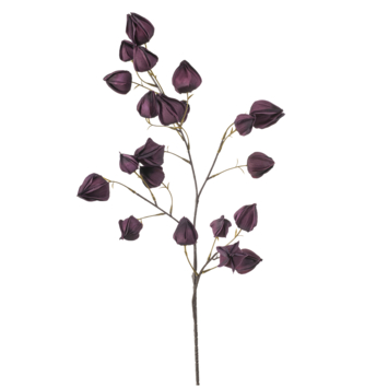 Physalis spray paars 90cm
