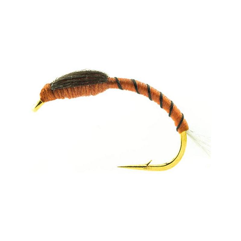 Mouche Devaux Chiro Nch08