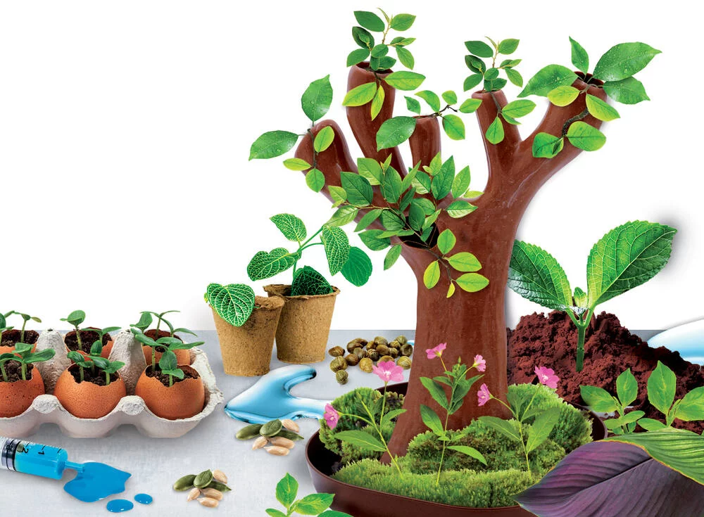 I'M A GENIUS SCIENCE -BOTANIQUE 50 EXPERIENCES ARBRE EN BIO-PLASTIQUE