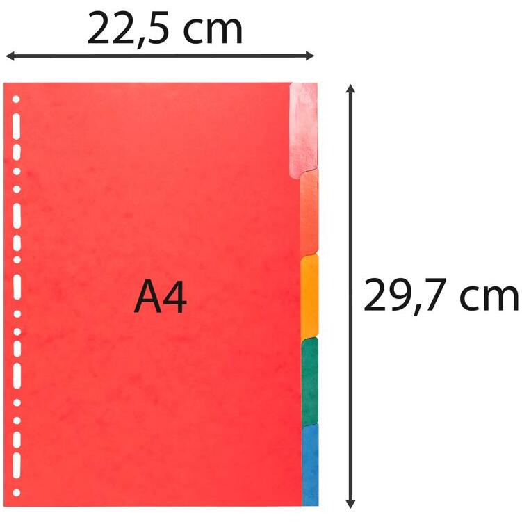 Intercalaires Carte lustrée 225 g avec onglets renforcés - 5 positions - A4