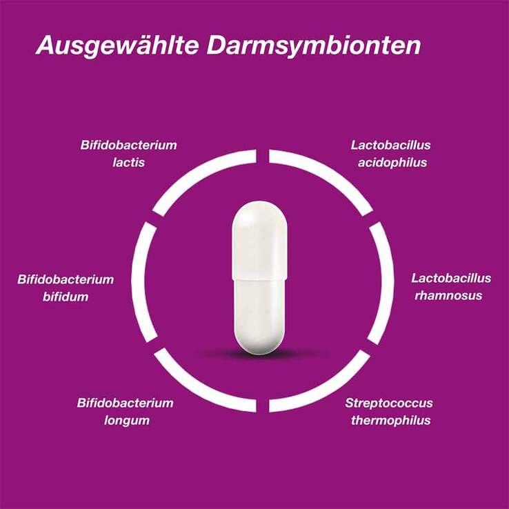 Orthomol pro 6 Kapseln, 10 St