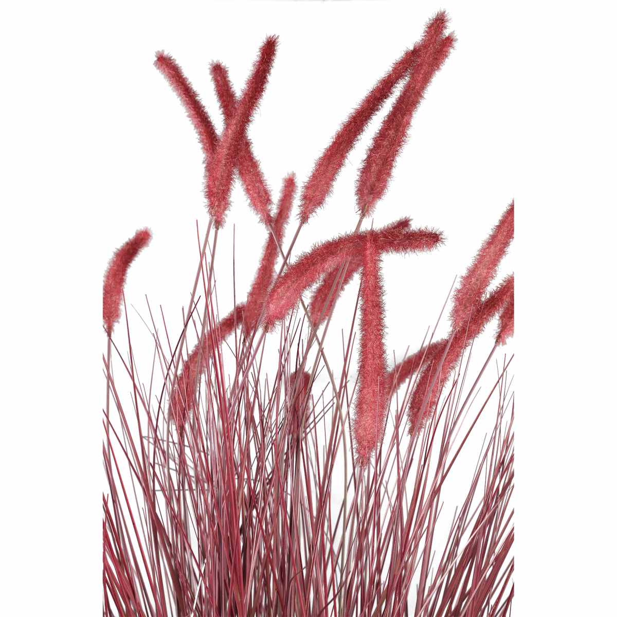 Ptmd plante artificielle setaria - 110x130x124 cm - plastique - rouge