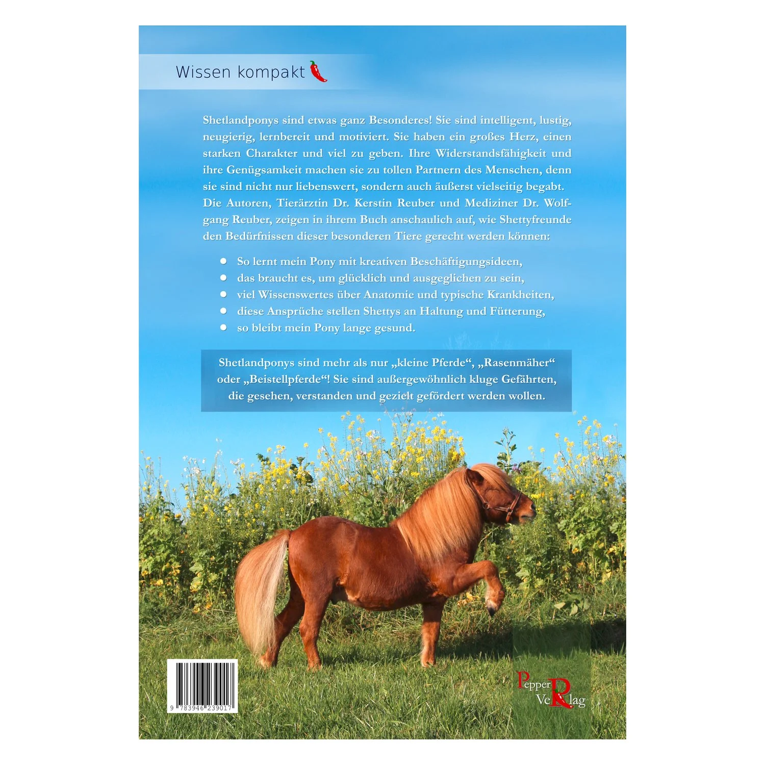 Shetlandponys