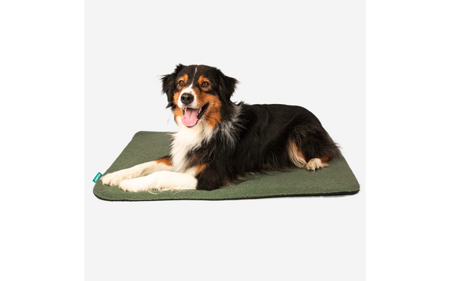 Manuly Hundematte selbstaufblasende Hundedecke