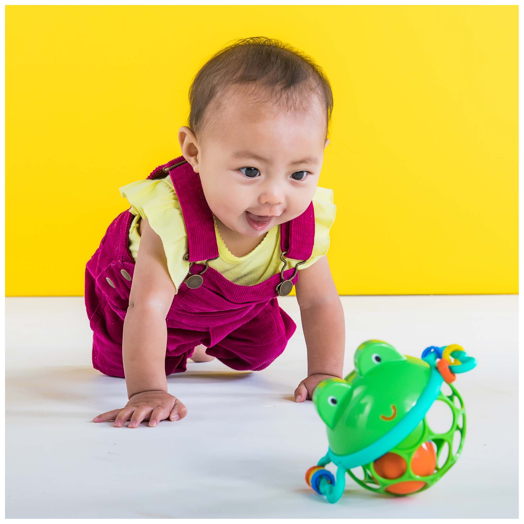 Oball aangrijpbal Jingle & Shake frog multi