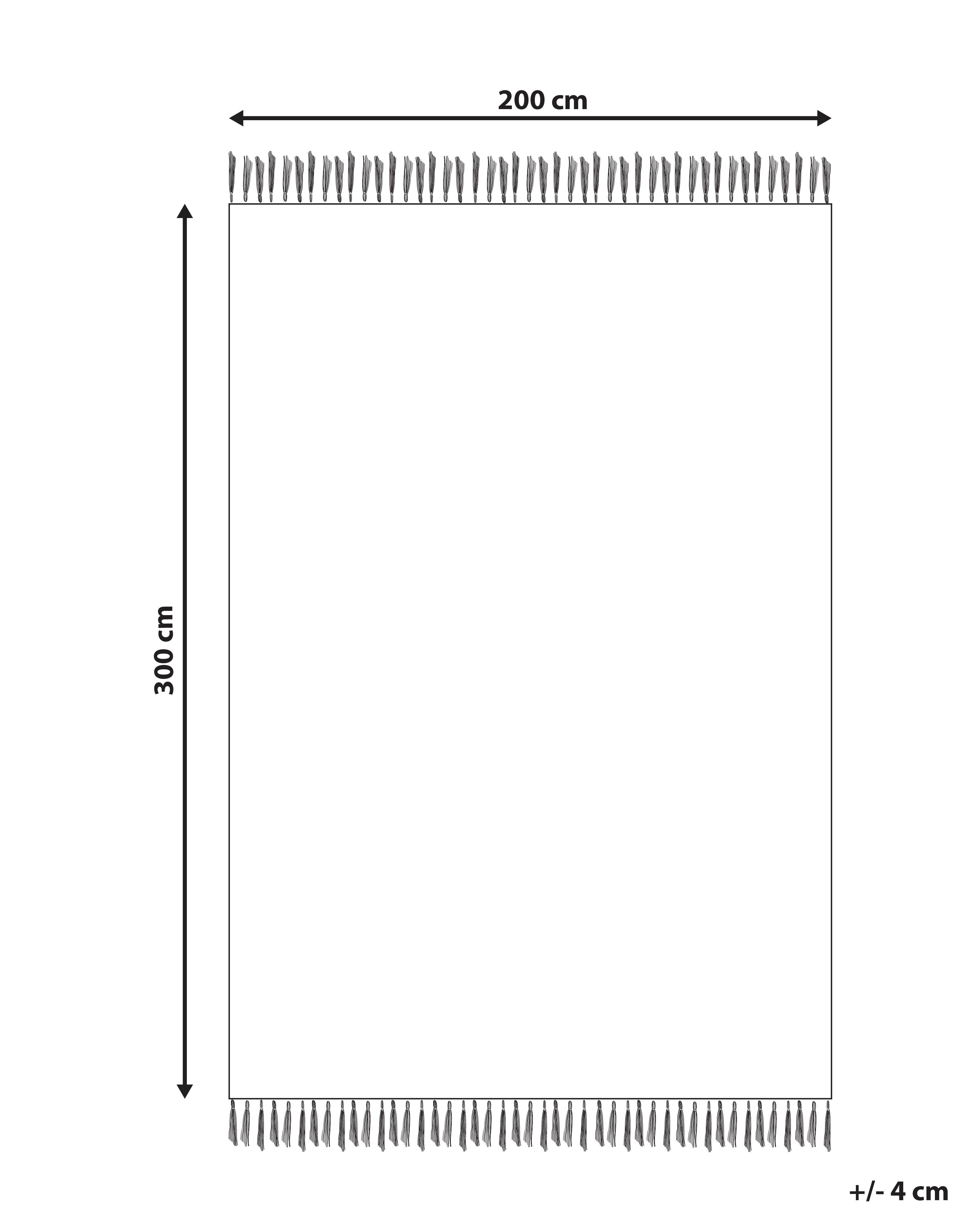 Vloerkleed TARONIK Meerkleurig 200 x 300 cm Katoen Kelim