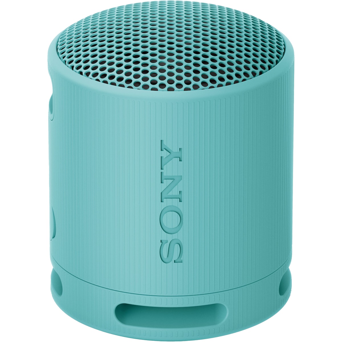 Sony SRS-XB100 bærbar trådløs høyttaler (blå)