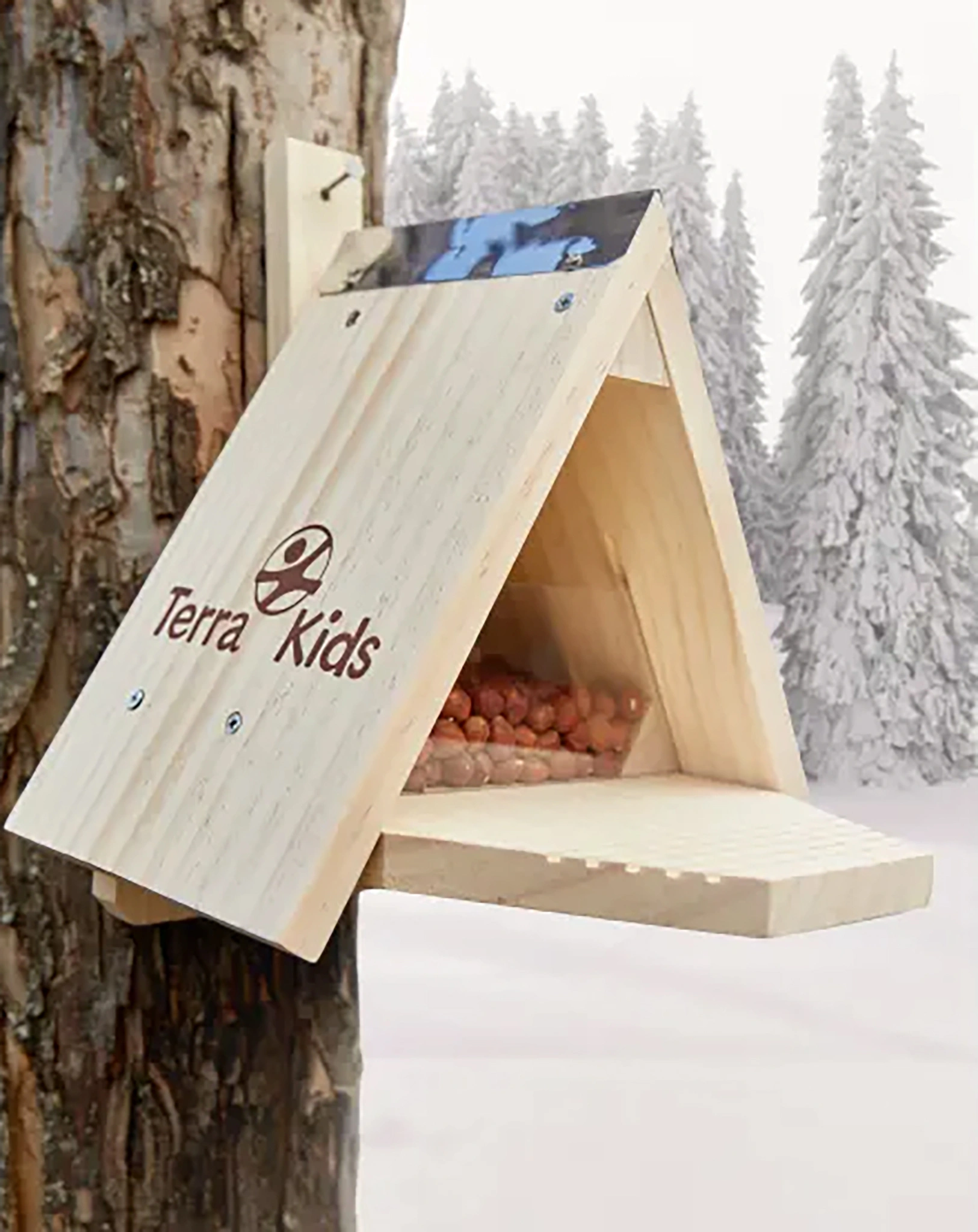 Holz-Bausatz TEKids - EICHHÖRNCHEN FUTTERHAUS in natur