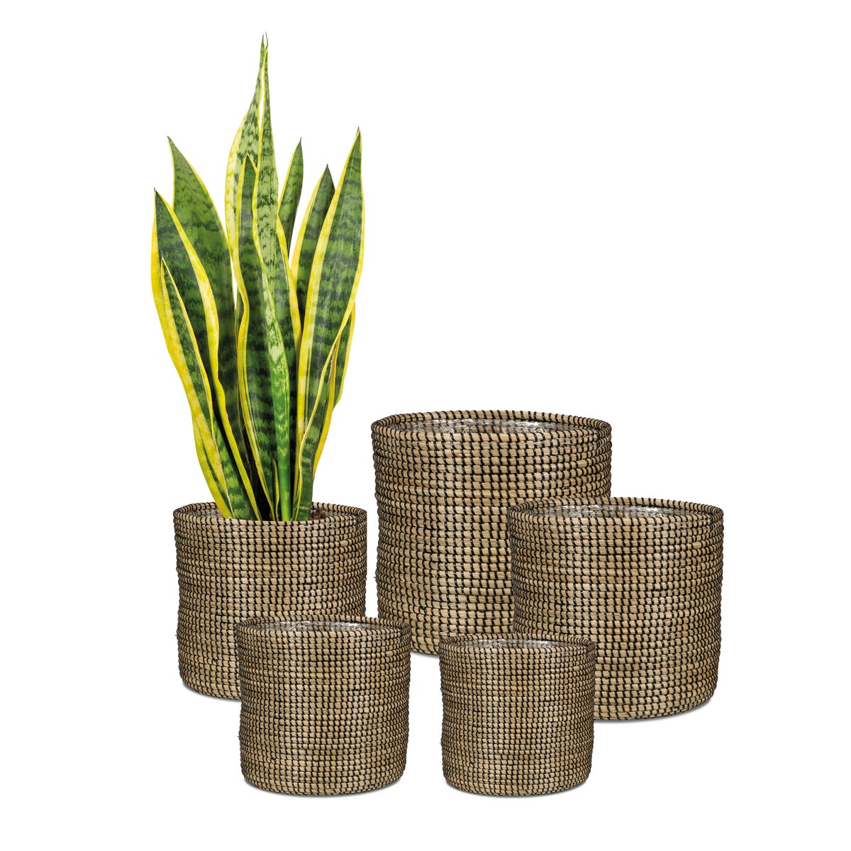 Scheurich Seagrass 24, plantenbak/mandpot van zeegras, kleur: zwart, 24 cm diameter, 22,5 cm hoog, 10,6 l inhoud.