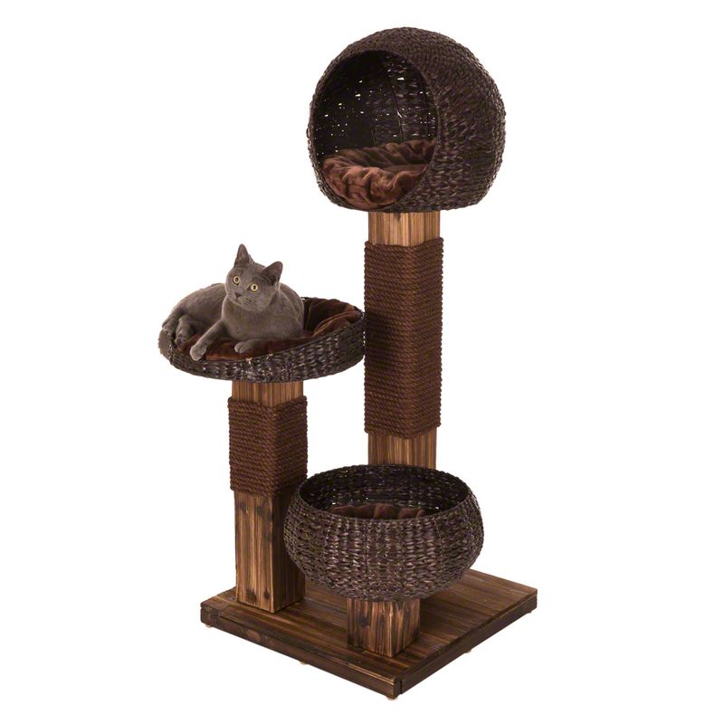 Arbre à chat Burned Wood