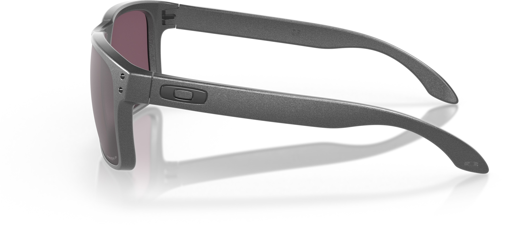Holbrook  B555/Steel w/Prizm Daily Polarized