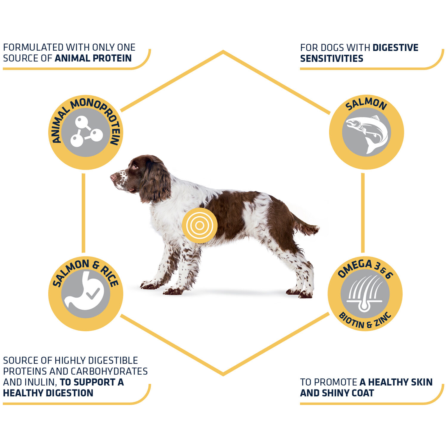 Affinity Advance Sensitive Medium-Maxi Zalm en Rijst - Hond