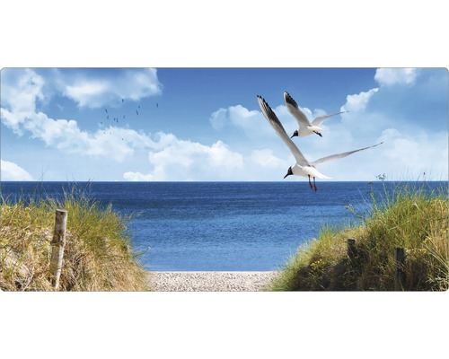 Badkamer achterwand mySPOTTI aqua Noordzee 90x45 cm