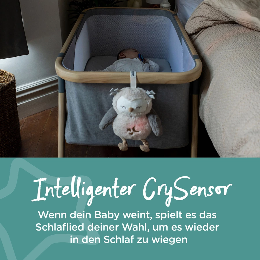 Tommee Tippee Einschlafhilfe Deluxe-Grofriend wiederaufladbar, Ollie die Eule