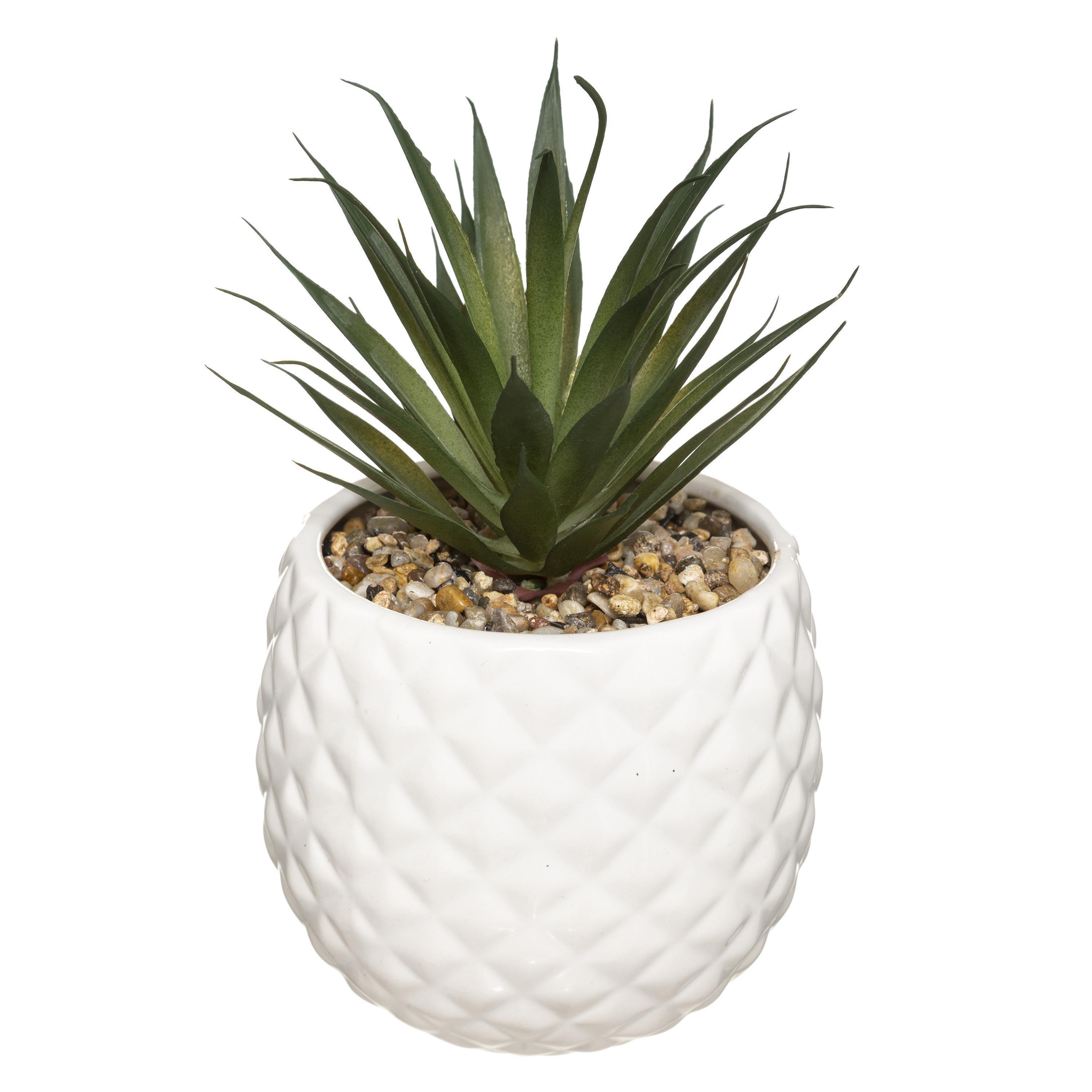 PLANTE ANANAS CERAMIQUE H.21CM