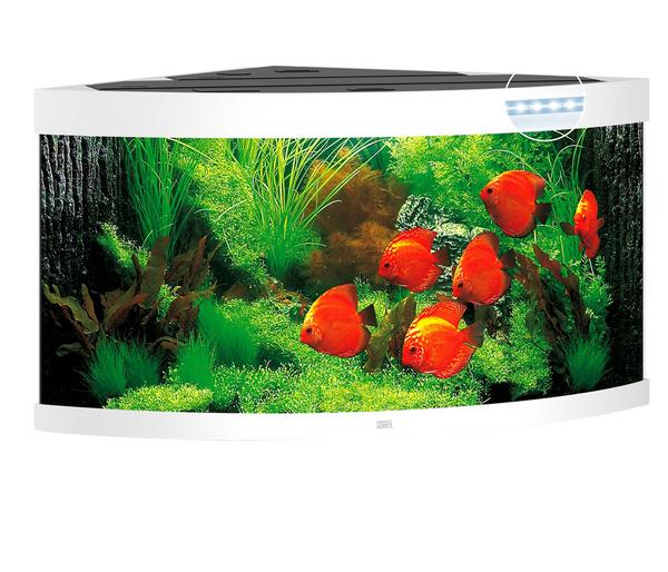 JUWEL® AQUARIUM Trigon 350 LED