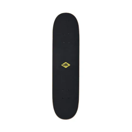 Schildkröt Skateboard Cool King