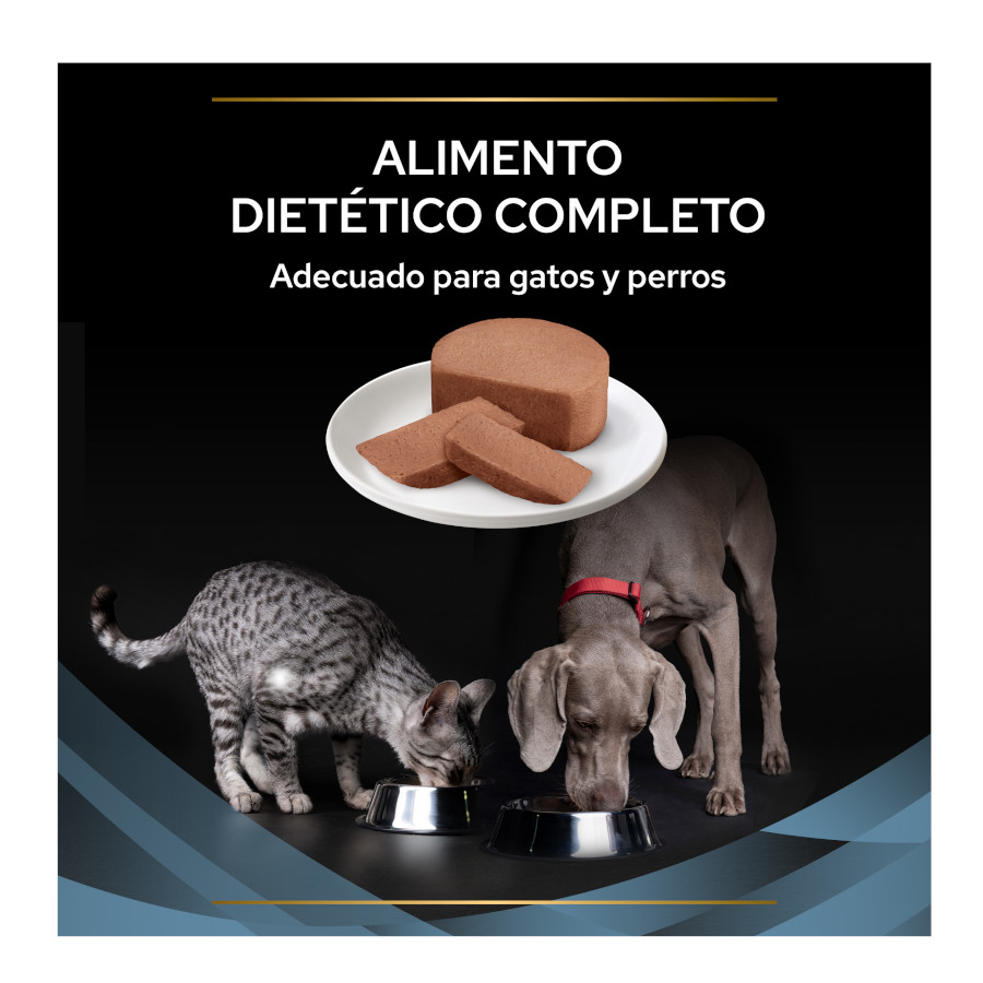 Pro Plan Veterinary Diets Convalescence em lata para cães e gatos.