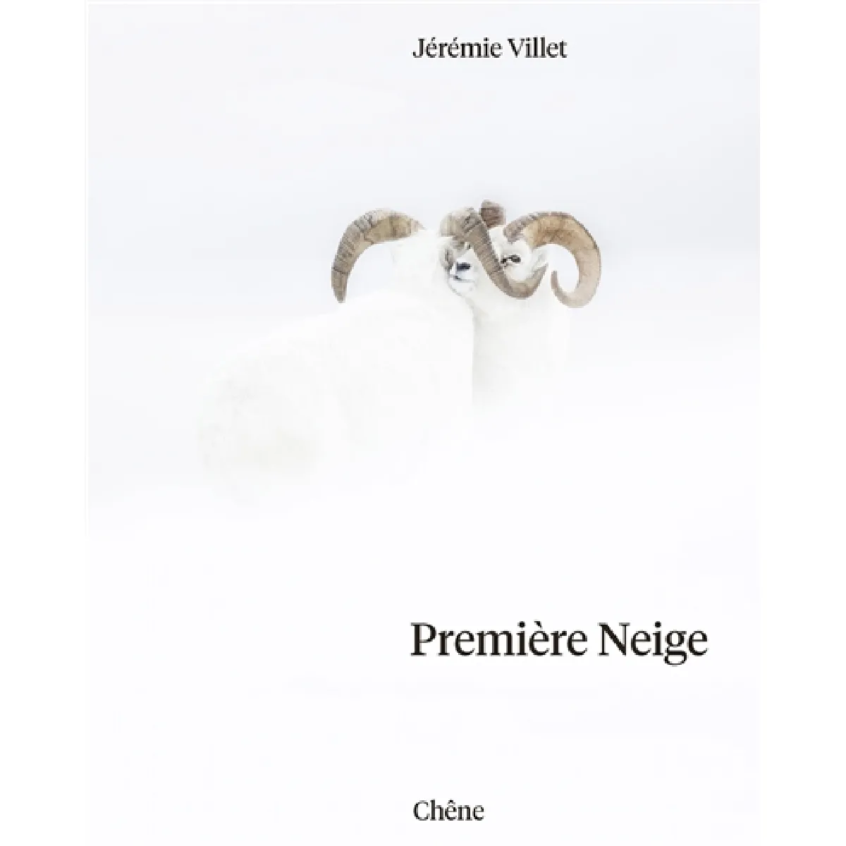 Première neige