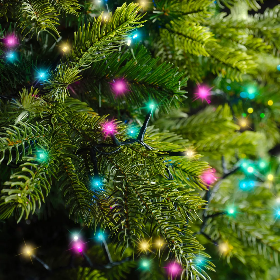Guirlande lumineuse 7,50 m 350 LED câble vert Luxe Multicolore pastel