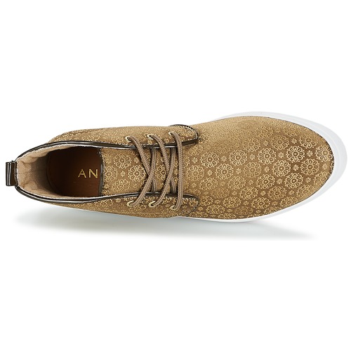 André - EMPEREUR - Kaki