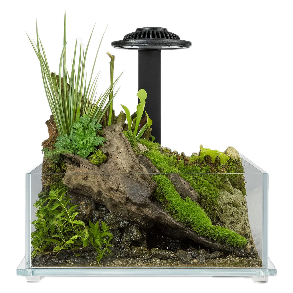 AquastoreXL Wabi Kusa Miniatuurtuin LED Zwart