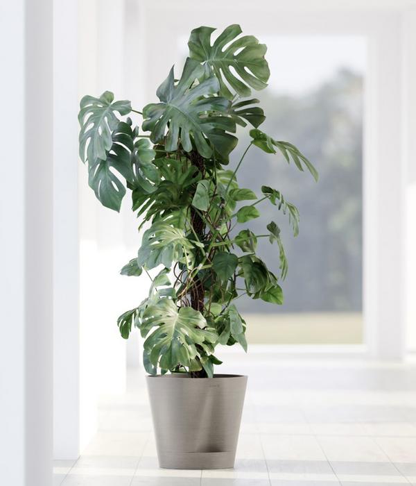 Ecopots Kunststoff-Topf Venice 2, rund
