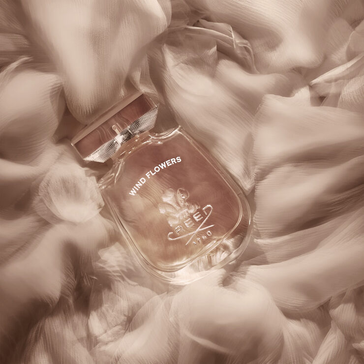 CREED Wind Flowers