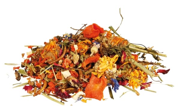 Trixie Natural food mixture for bearded dragons, 100 g