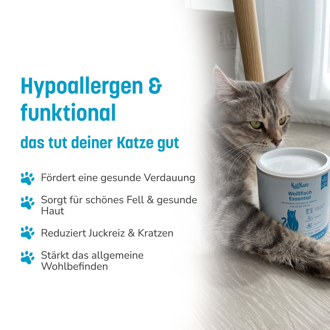 KatKare Hypoallergener Gefriergetrockneter Snack Weissfisch Essential 70g 70 g