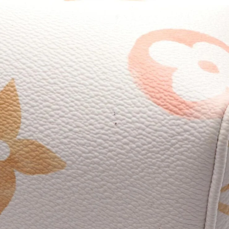 Louis Vuitton Vintage Louis Vuitton Speedy White