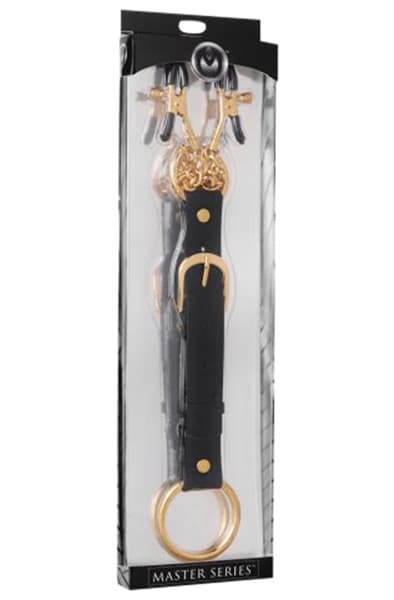 Master Series Penitentiary Nipple Clamps and Cock Ring Set