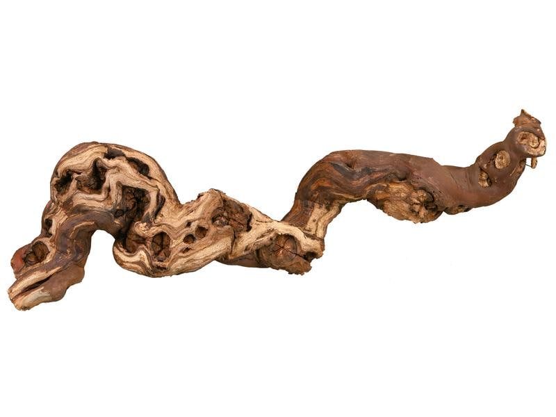 Trixie Weinrebenwurzel M wassergestrahlt, 30 - 40 cm Weinrebe für einen natürlichen Lebensraum