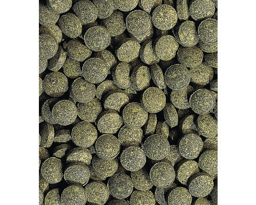 Tetra Pleco Tabletten 120 Voedingstabletten