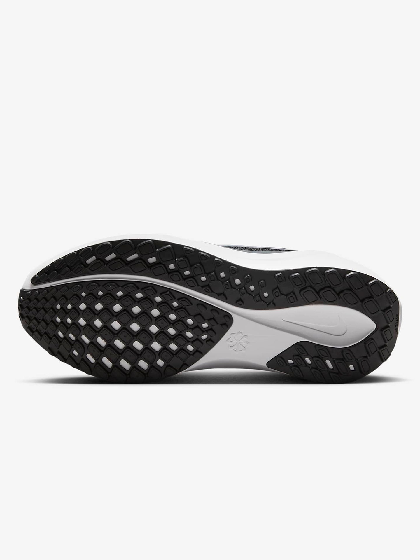 Pegasus 41