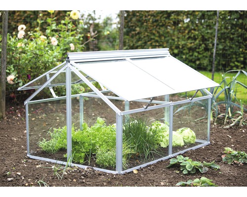 Vitavia Gaia Jumbo kweekkas, enkel veiligheidsglas, 120x80x72 cm