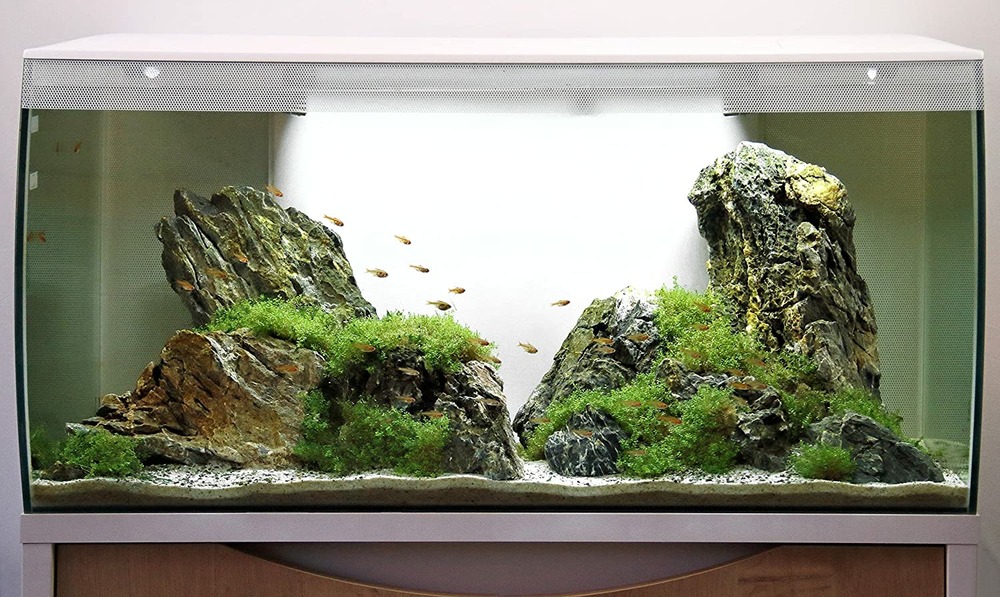Aquarium d'eau douce blanc flex 123l
