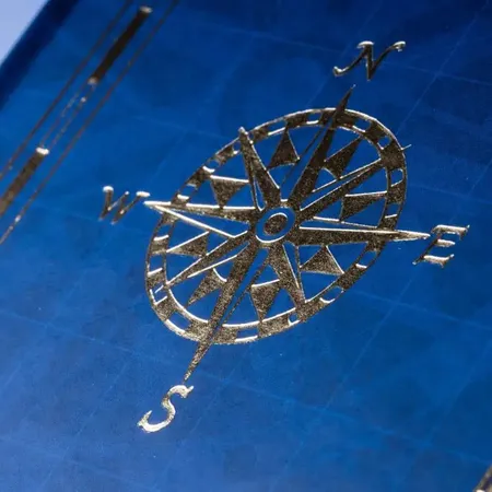 Nelson Der große Disney-Atlas