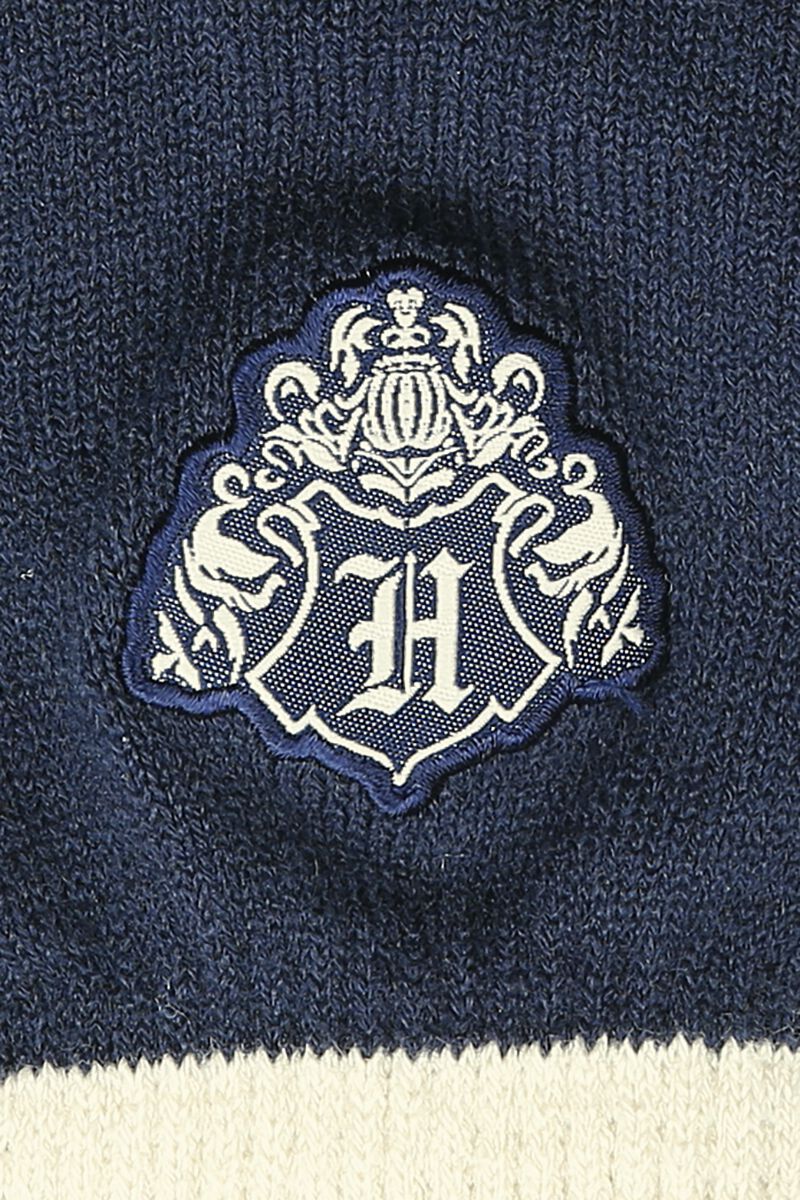 Poudlard | Harry Potter Écharpe