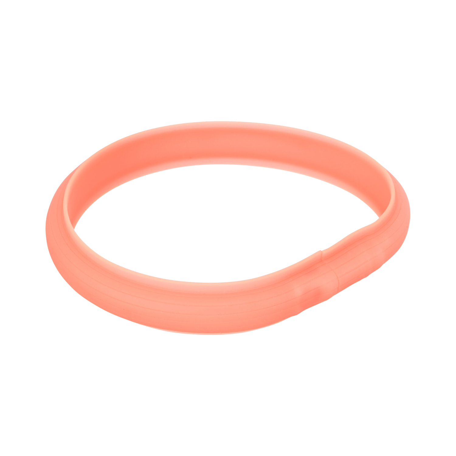 Trixie Lichtgevende Band met USB