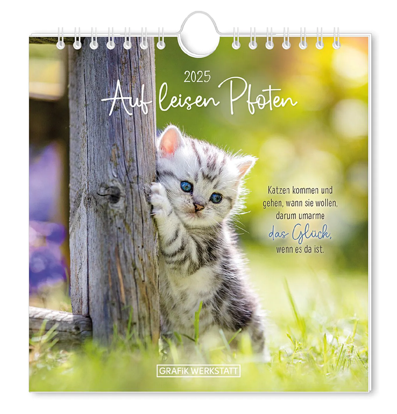 Postkarten Kalender, 2025, Auf leisen Pfoten