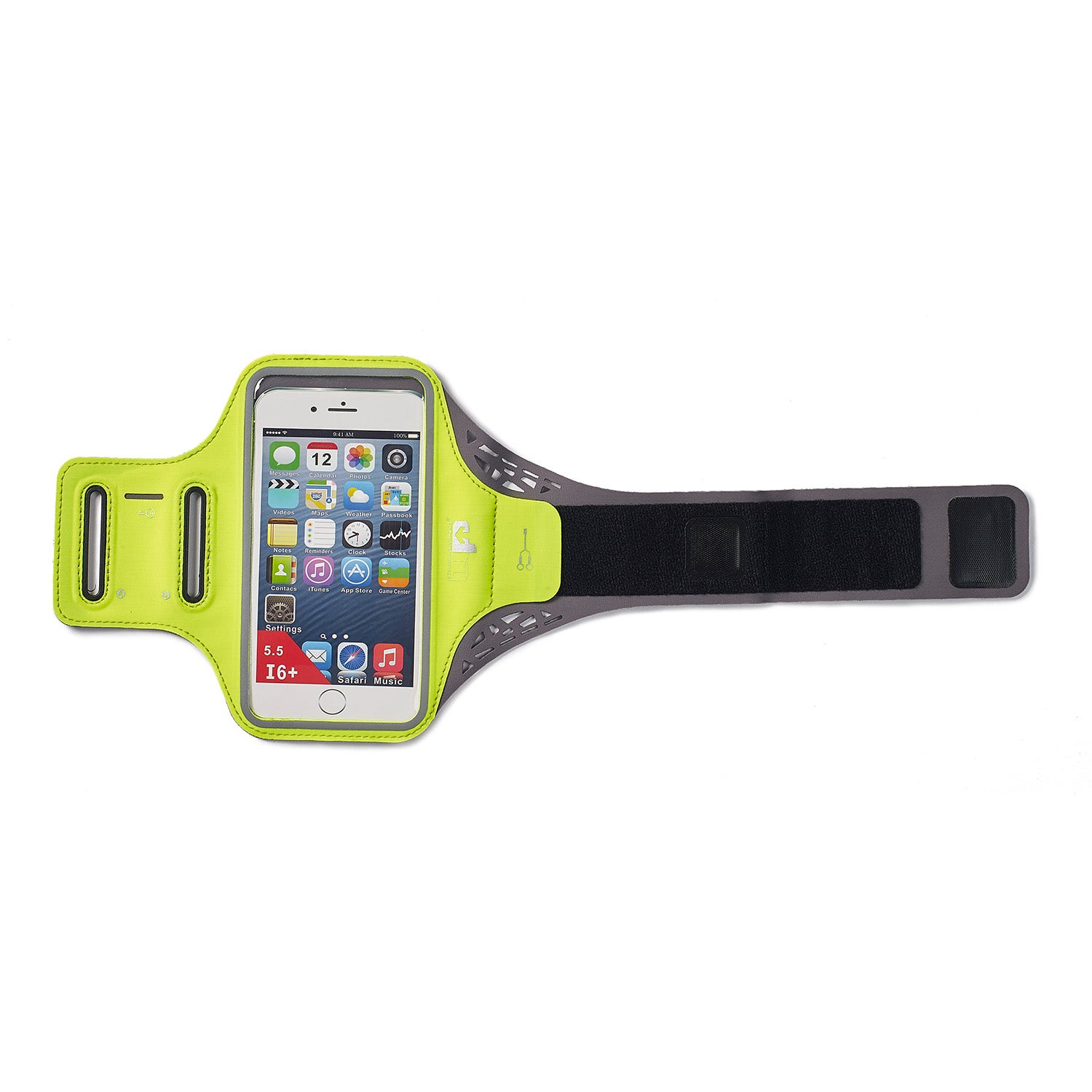 Gato  Ridgeway Sports Armband